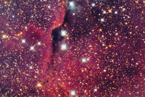 IC1396