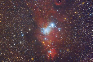 NGC2264
